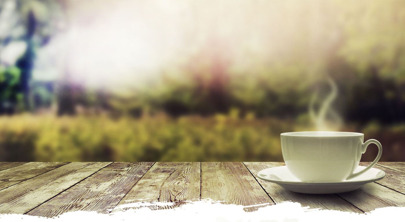 Doğuş Çay ve Tema Vakfı Çay Tarımına Sahip Çıkıyor